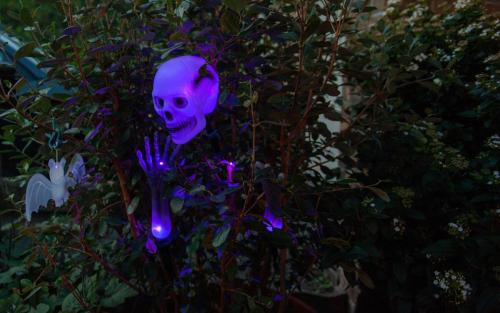 2022 Halloween_2022_17
