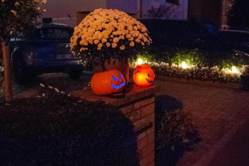 2022 Halloween_2022_22